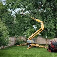 Leaf Removal in Greenville, IL